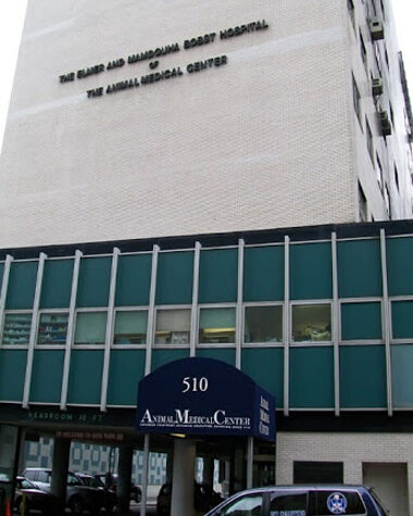 Animal Medical Center / 510 E 62nd Street, NYC